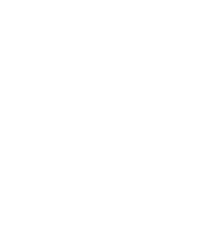 International Center for 9:11 Justice